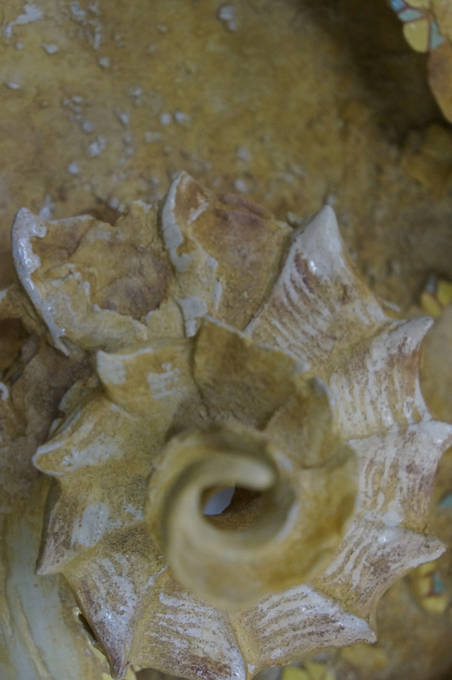 Détail Sculpture Fossile